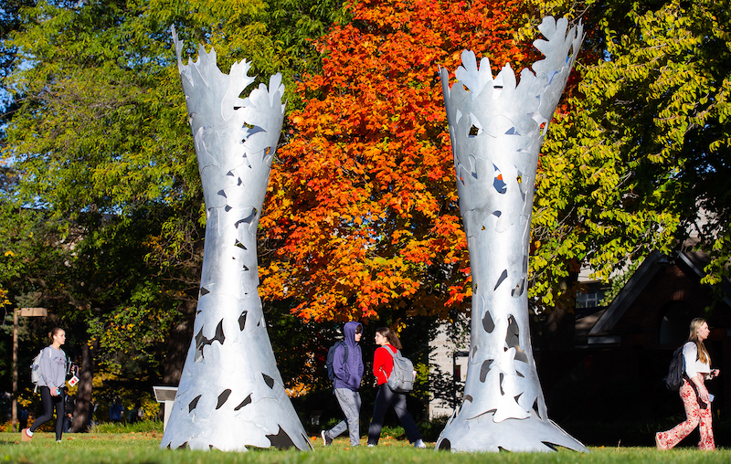 Tree sculptures by Morrill Hall