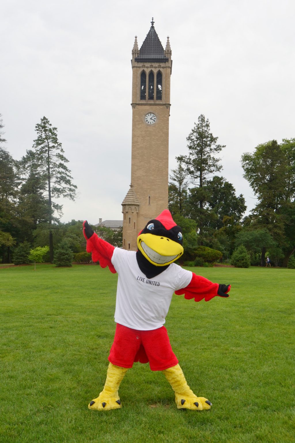 Cy in United Way t-shirt in front of the campanile